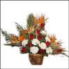 Heart Throb - Click here to View more details about this Product